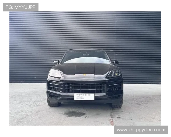 保时捷PG官网全面升级为用户提供更便捷的购车与服务平台 保时捷PG官网全面升级为用户提供更便捷的购车与服务平台